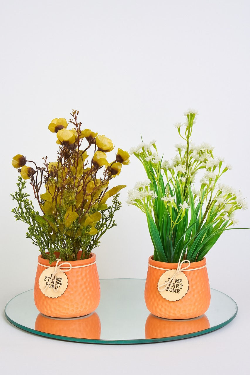 2 Flower pots